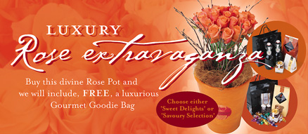 New Zealand Bundle Deals New Zealand,:Luxury Rose Extravaganza